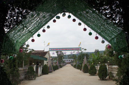 Cây thông có đường kính đáy hơn 10m, ô tô có thể đi qua.