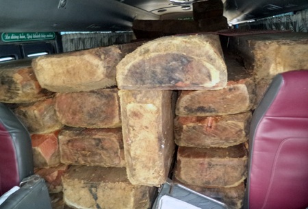 Chiếc xe khách 29 chỗ bị tháo hết ghế để chở gỗ lậu.