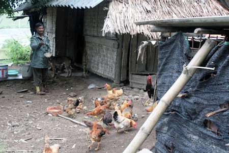 Người thương binh mang chân giả leo núi trồng rừng