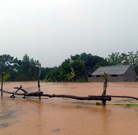 Nhiều nhà dân chìm trong nước lũ.