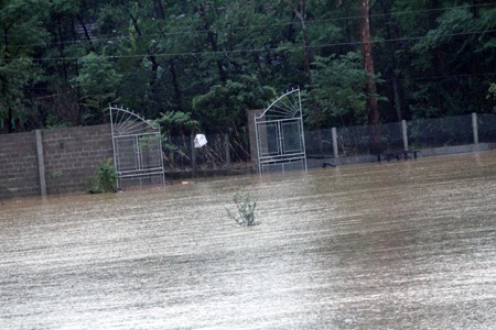  Một nhà dân ở ngoài đê sông Lam tại xã Ngọc Sơn, Thanh Chương bị lũ bao vây.