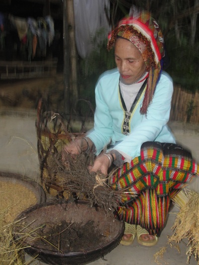 Những phụ nữ giã lúa lấy gạo và lấy cọng rơm để riêng (Ảnh: Huy Nhâm).