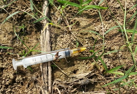 Nguyễn Duy - Ngọc Tú