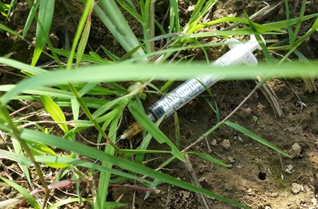 Kim tiêm với những mũi tiêm nhọn hoắt, dính máu nằm rải rác khắp ruộng