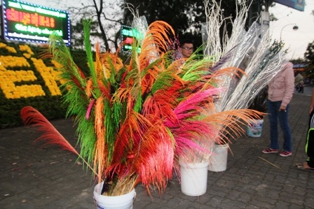 Bông lau dân dã cũng được ưa chuộng