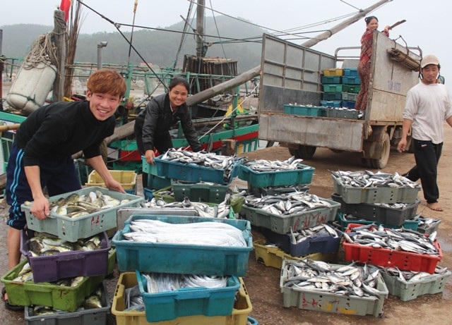 Những mẻ cá lên bờ đầu tiên của năm mới mà ngư dân Quỳnh Lưu sau những ngày bám biển.