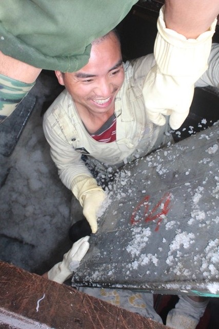 Những mẻ cá lên bờ đầu tiên của năm mới mà ngư dân Quỳnh Lưu sau những ngày bám biển.