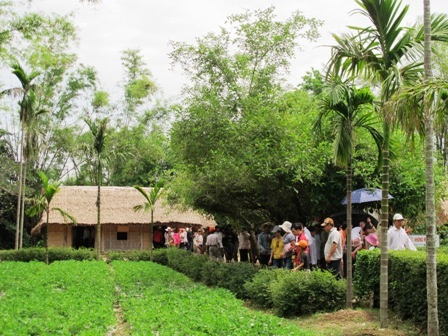 Hơn 8.000 lượt khách thăm Khu di tích Chủ tịch Hồ Chí Minh trong dịp Tết