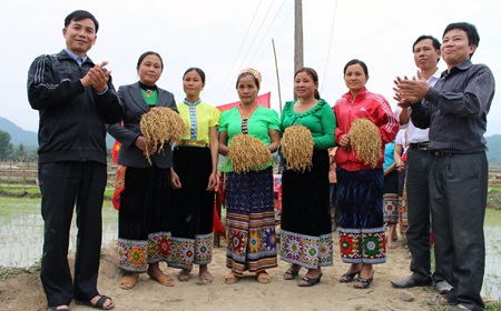Bà con xuống đồng ngày đầu năm. 