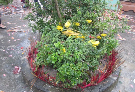 Ở các gốc cây hương cũng được thắp.