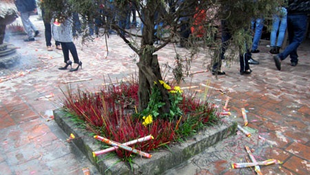 Ở các gốc cây hương cũng được thắp.