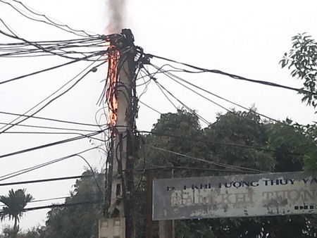 Nguyễn Duy - Lê Hiếu