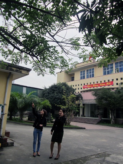 Mạnh Hà - Nguyễn Duy