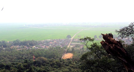 Từ rú Gám nhìn ra cánh đồng lúa mênh mông của huyện Yên Thành.