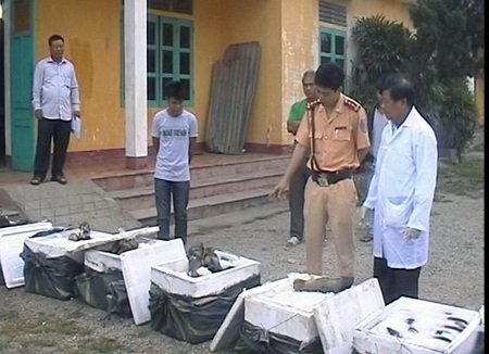 Chân trâu được đừng trong 6 thùng xốp.