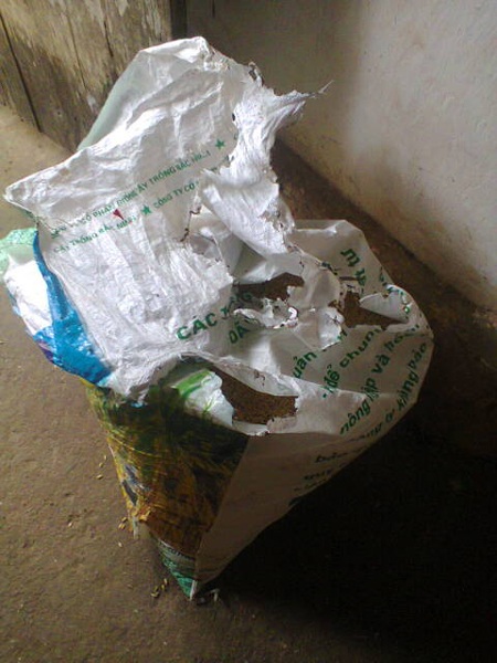 Chiếc bì đựng lúa cũng bị bốc cháy.