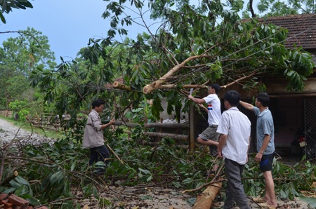 Rất nhiều cây bị gãy đổ, đè đứt dây điện