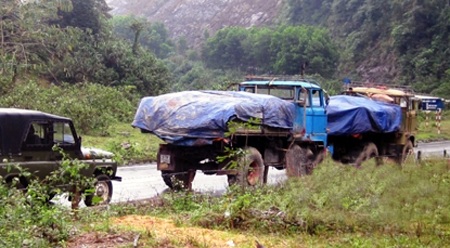 Các xe ô tô bị bắt giữ khi chở dầu không có giấy tờ (Ảnh: L.Thạch).