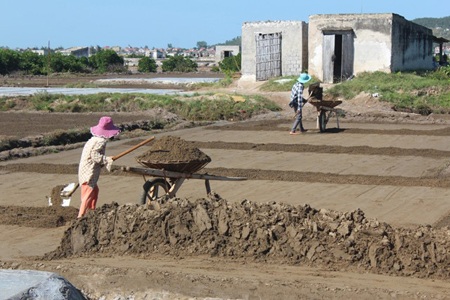 Những đứa trẻ theo mẹ ra ruộng muối cào đất làm muối giữa cái nắng như thiêu như đốt.