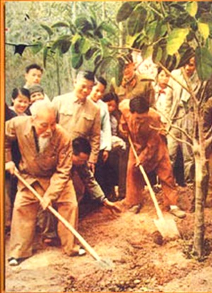 Bác Hồ từng nói: Mùa xuân là tết trồng cây, làm cho đất nước càng ngày càng xuân.