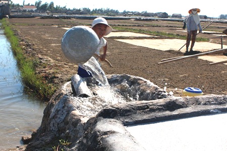 Nắng ... nhưng em cố gắng để có được những mẻ muối trắng.