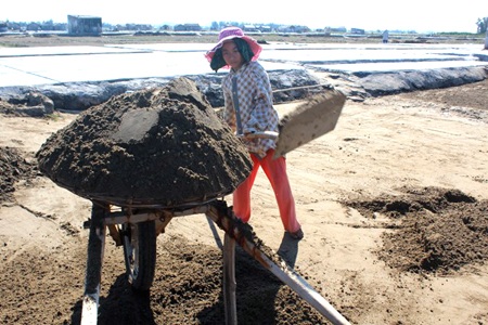 Những đứa trẻ theo mẹ ra ruộng muối cào đất làm muối giữa cái nắng như thiêu như đốt.