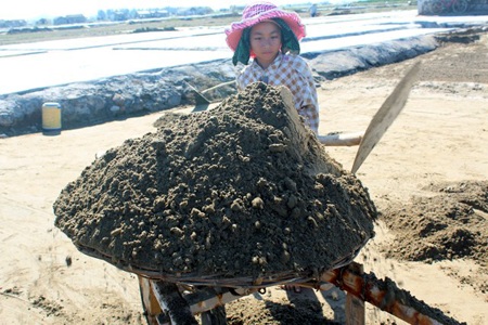 Những đứa trẻ theo mẹ ra ruộng muối cào đất làm muối giữa cái nắng như thiêu như đốt.