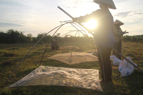 Chị em cũng sẵn sàng cột rớ.