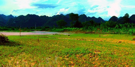 Nước đỏ tàn phá đất canh tác