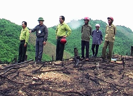 Rừng đầu nguồn của xã Tào Sơn bị tàn phá.