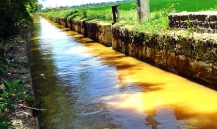 Rơi xuống mương nước, cụ bà 82 tuổi chết đuối - 1 Mương nước nơi cụ Nguyễn Thị Khai (82 tuổi) bị trượt chân ngã chết đuối.