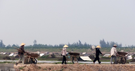 Lúc thời tiết nắng nhất thì họ ra đi làm.