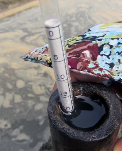 Thước đo độ mặn của muối