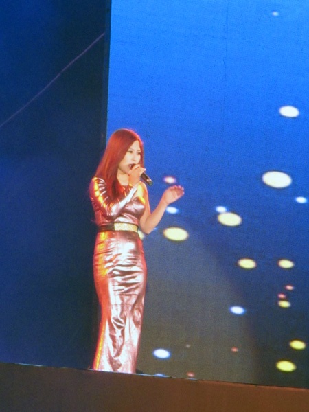 Ca sĩ Hương Tràm góp mặt trong đêm chào 2014 tại Vinh.