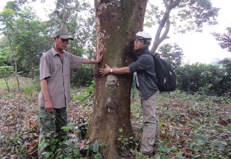 PV Dân trí cùng một hộ dân trong rừng lim.