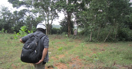 Khu vực đường vào rừng lim cổ thụ.