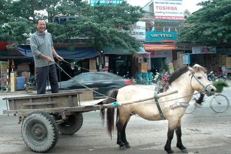 Hùng xe ngựa đang đi chở hàng.