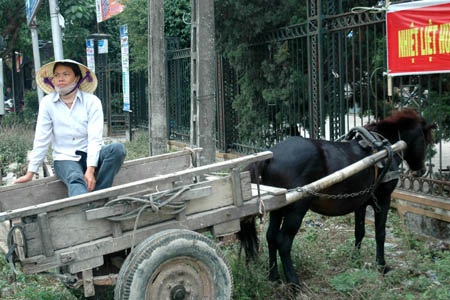Chị Thất và xe ngựa đang đợi hàng.