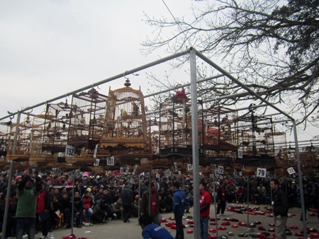 Thi đấu cờ người.