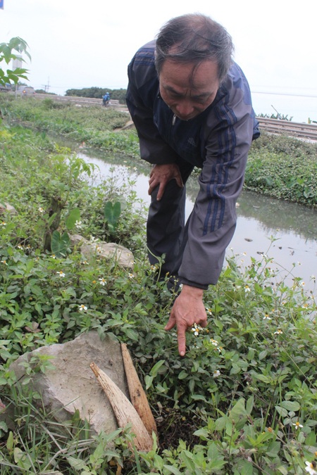 Đơn kêu cứu của người dân gửi tới PV Dân trí thường trú tại Nghệ An.