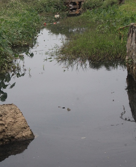 Mương nước đặc quánh, ô nhiễm khắp nơi.