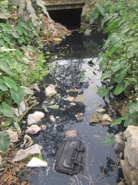 Mương nước đổ ra bay mùi hôi th