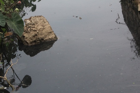 Mương nước đổ ra bay mùi hôi th