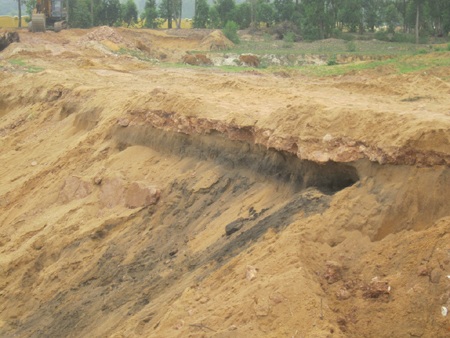 Khu vực phát hiện bộ xương cá còn lại một lớp cát màu đen mịn.