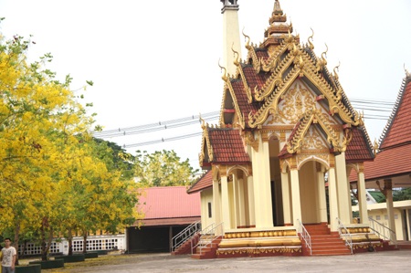 Mùa hoa Đọc Khun bung nở ở Viêng Chăn - 10 Dãy hoa Đọc Khun ở một ngôi chùa lớn Thủ đô Viêng Chăn.