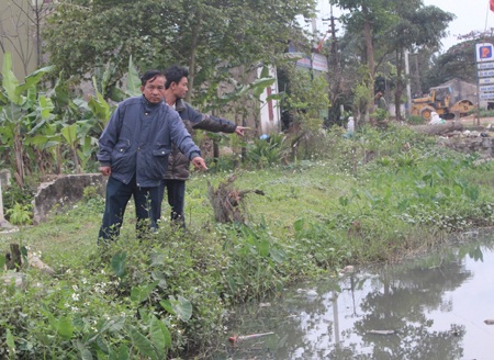 Người dân tố xưởng chứa da trâu bò gây ô nhiễm.