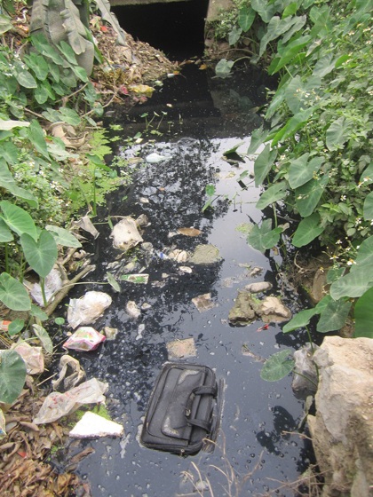 Sẽ đình chỉ hoạt động xưởng chứa da trâu bò gây ô nhiễm môi trường