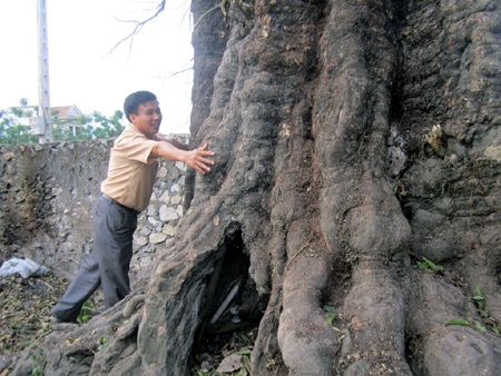 Chiêm ngưỡng “cụ thị” ngàn năm với hình dạng kỳ dị ở xứ Nghệ