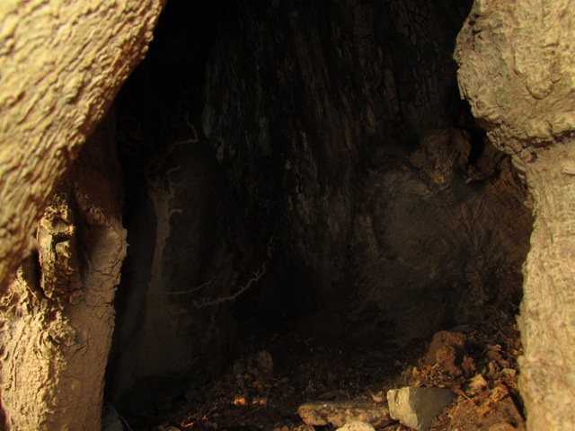 Theo người xưa kể lại, những lỗ hổng này có thể chứa từ 4-6 chiến sĩ khi bị địch truy quét.