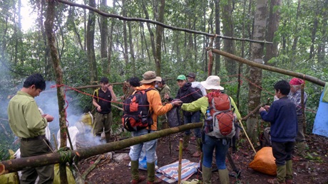 Chiêm ngưỡng cây Sa mu dầu “quý hiếm” hơn 2.000 năm tuổi